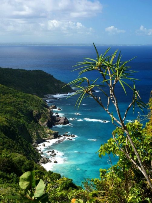 Visiter La Désirade : la Guadeloupe hors des sentiers battus